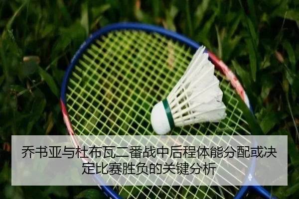 乔书亚与杜布瓦二番战中后程体能分配或决定比赛胜负的关键分析
