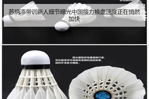 苏炳添带训新人细节曝光中国接力换血速度正在悄然加快